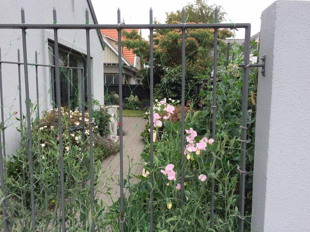 Garden Bed And Breakfast ไครสต์เชิร์ช ภายนอก รูปภาพ