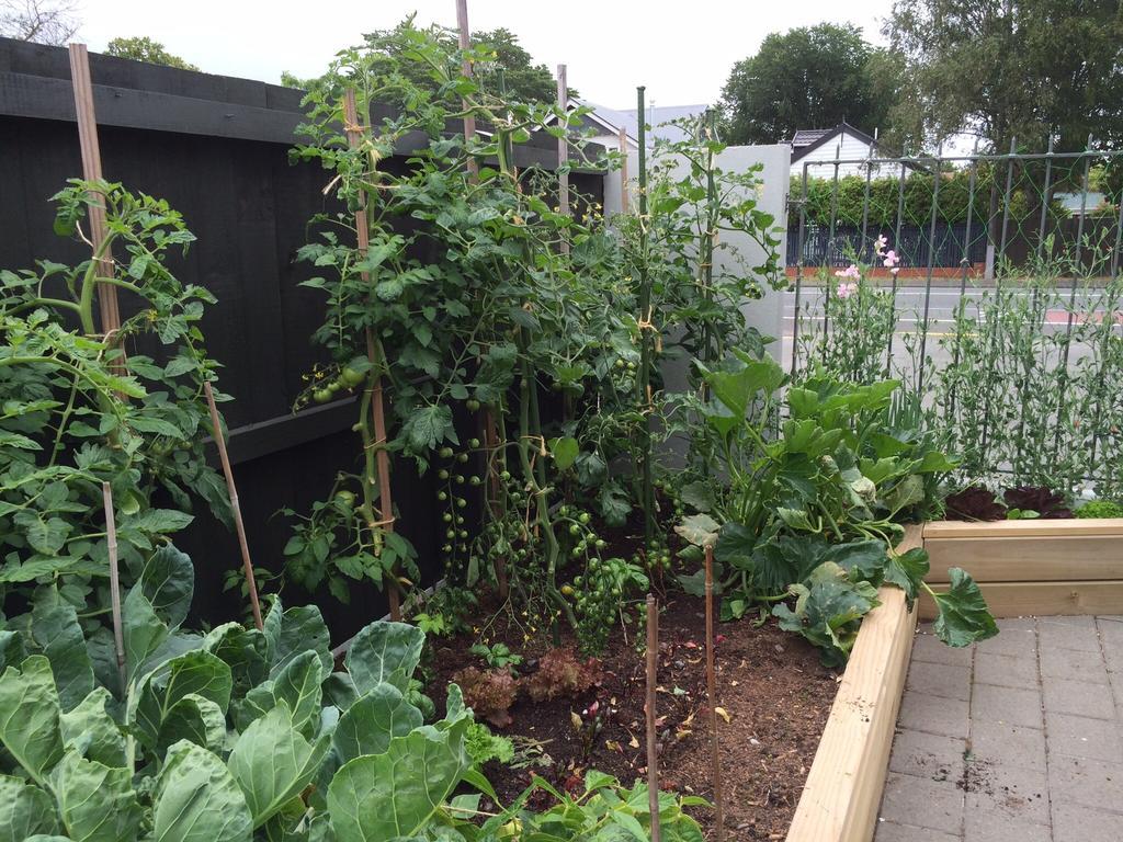 Garden Bed And Breakfast ไครสต์เชิร์ช ภายนอก รูปภาพ