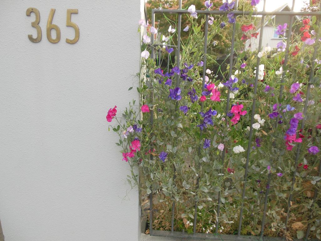 Garden Bed And Breakfast ไครสต์เชิร์ช ภายนอก รูปภาพ