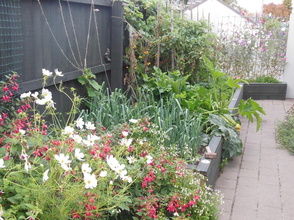 Garden Bed And Breakfast ไครสต์เชิร์ช ภายนอก รูปภาพ
