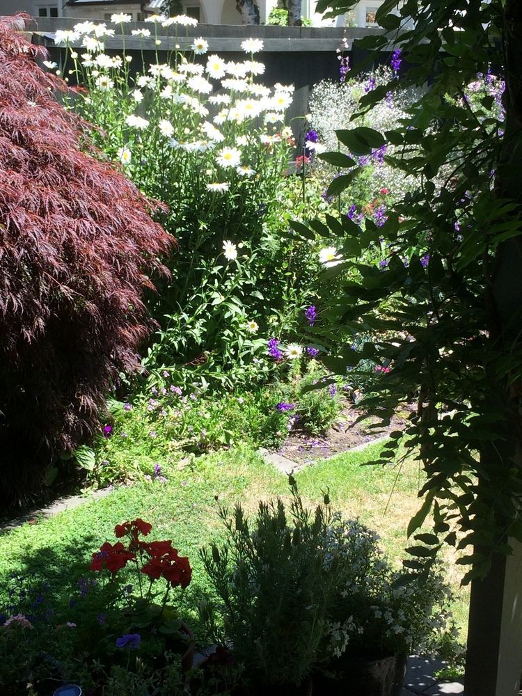 Garden Bed And Breakfast ไครสต์เชิร์ช ภายนอก รูปภาพ