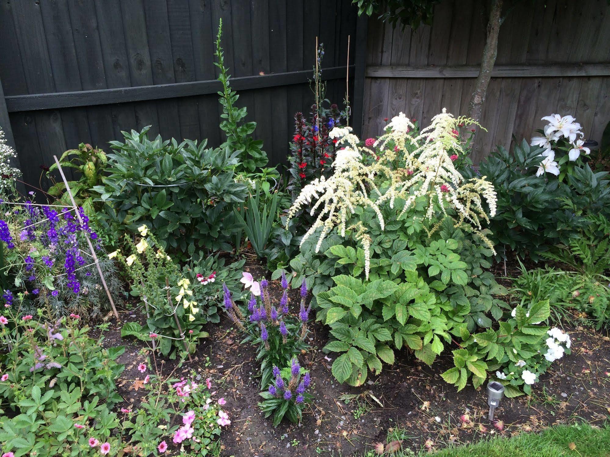 Garden Bed And Breakfast ไครสต์เชิร์ช ภายนอก รูปภาพ