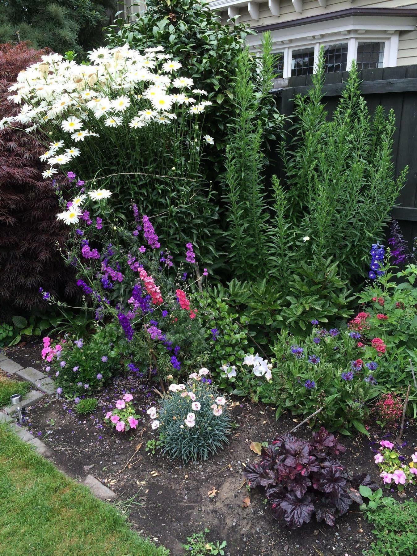 Garden Bed And Breakfast ไครสต์เชิร์ช ภายนอก รูปภาพ